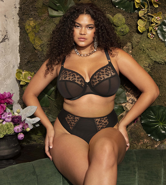 Elomi Welcomes KENDRA ~ Sexy New Lace Range for AW23 - Lingerie Briefs ~ by  Ellen Lewis