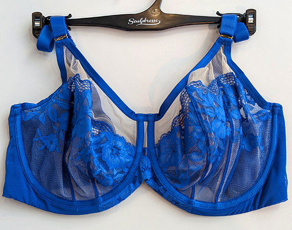 Sculptresse at Curve NY - featured on Lingerie Briefs
