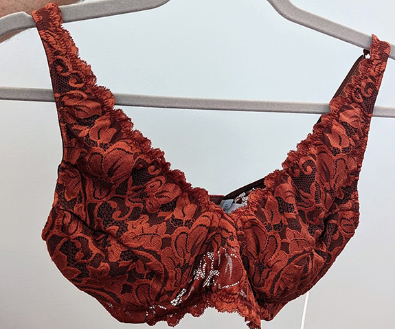 Everviolet at Curve NY - featured on Lingerie Briefs