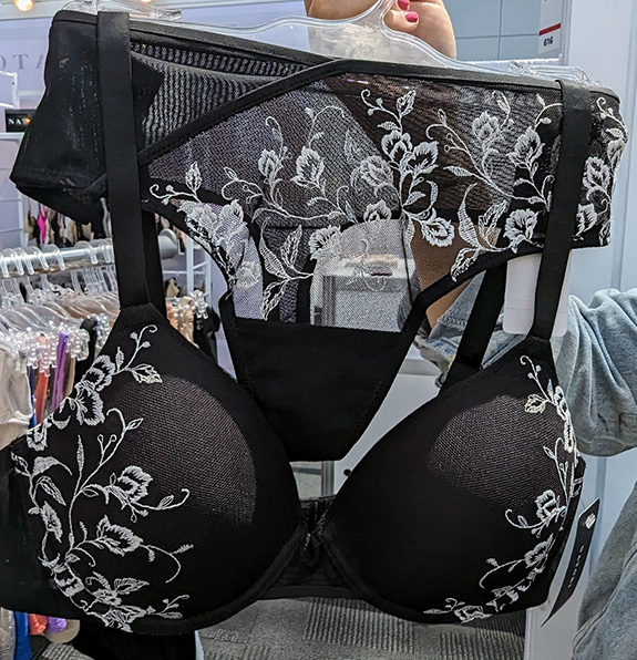 Natori at Curve NY - featured on Lingerie Briefs