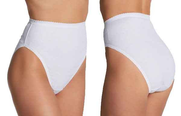 Shadowline Cotton High Cut Panty featured on Lingerie Briefs
