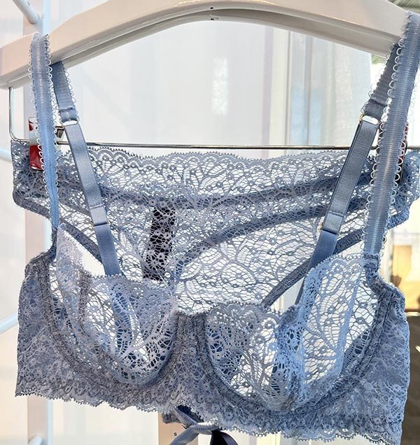 Journelle at CurveNY featured on Lingerie Briefs