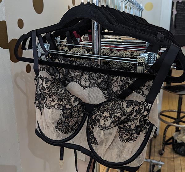 Evolution Concepts 2024 Fall/ Winter Show Lingerie Highlights as featured on Lingerie Briefs
