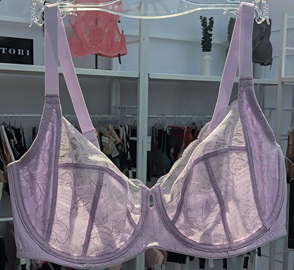 Natori at NYC SS25 Lingerie Show featured on Lingerie Briefs