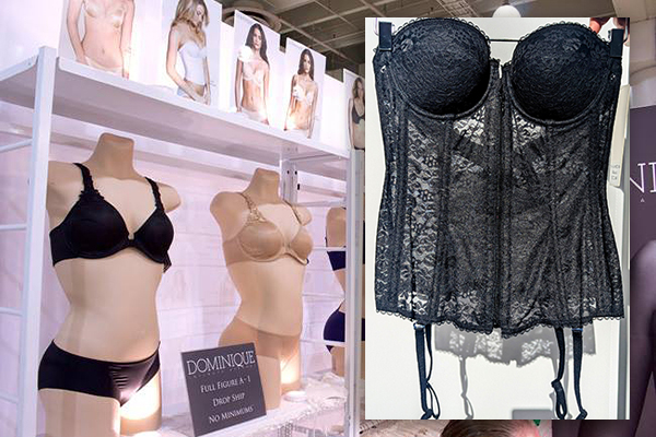 Dominique solution lingerie as featured on Lingerie Briefs