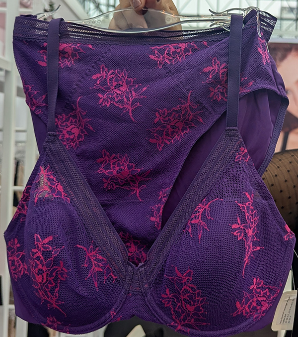 Natori Lingerie as featured on Lingerie Briefs