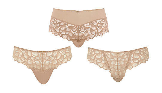 Panache Allure panties in honey featured on Lingerie Briefs Panache Allure panties in honey featured on Lingerie Briefs