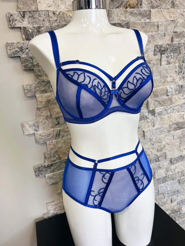 Fit Fully Yours as featured on Lingerie Briefs