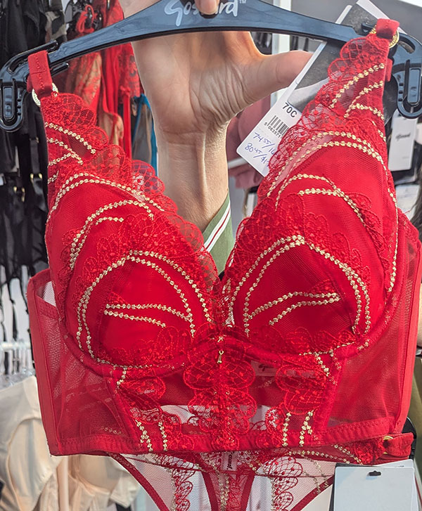 Gossard as featured on Lingerie Briefs