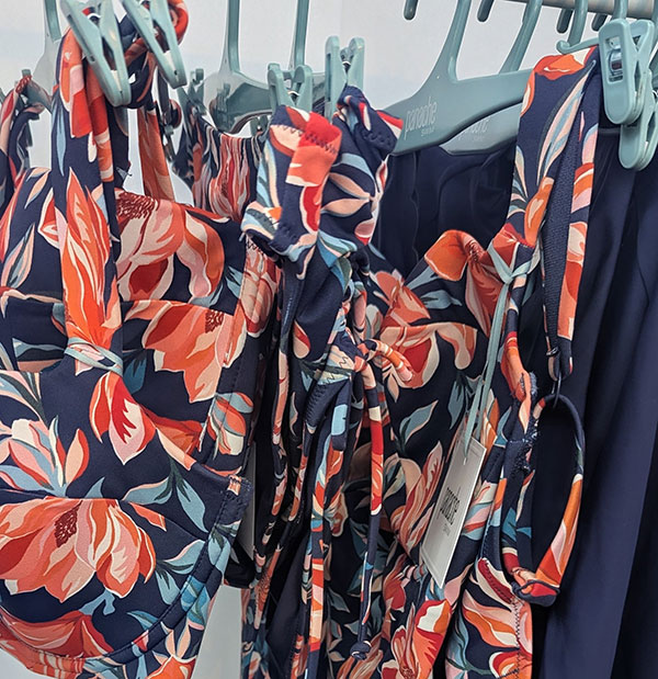 Panache Swim as featured on Lingerie Briefs
