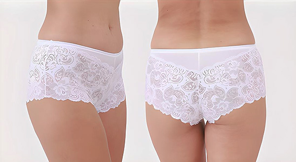 Shadowline Lace Cheeky panty featured on Lingerie Briefs