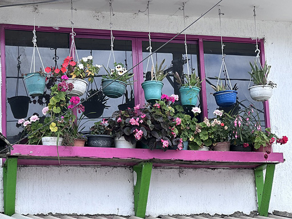 Inspiration for CLO Intimo Fall/ Winter 2026 Collection Salento La Montaña as featured on Lingerie Briefs