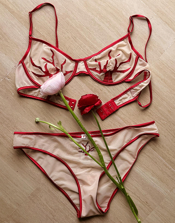 Vellutini Lingerie as featured on Lingerie Briefs